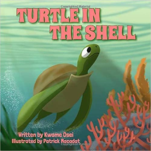 Turtle In The Shell by Kwame Osei and Patrick Macadat
